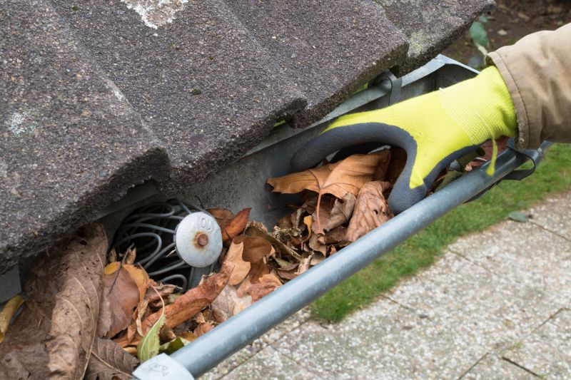 Gutter Cleaning in Spring