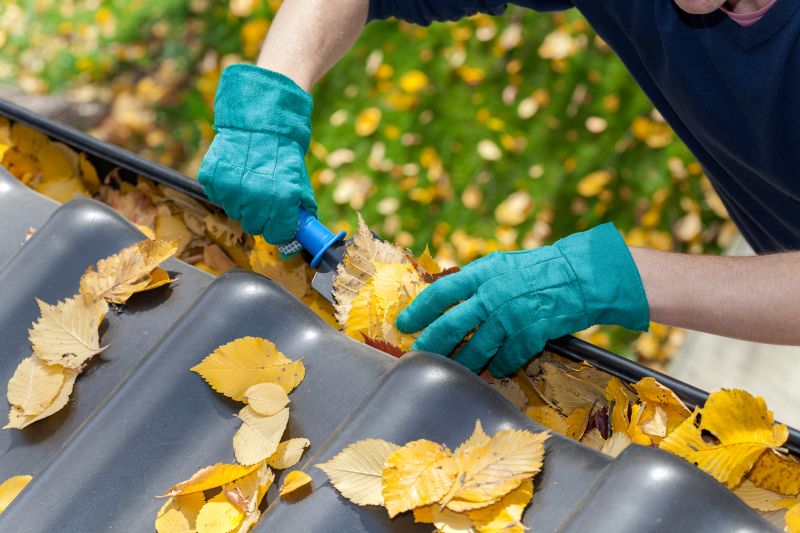Gutter Service Discount Offer